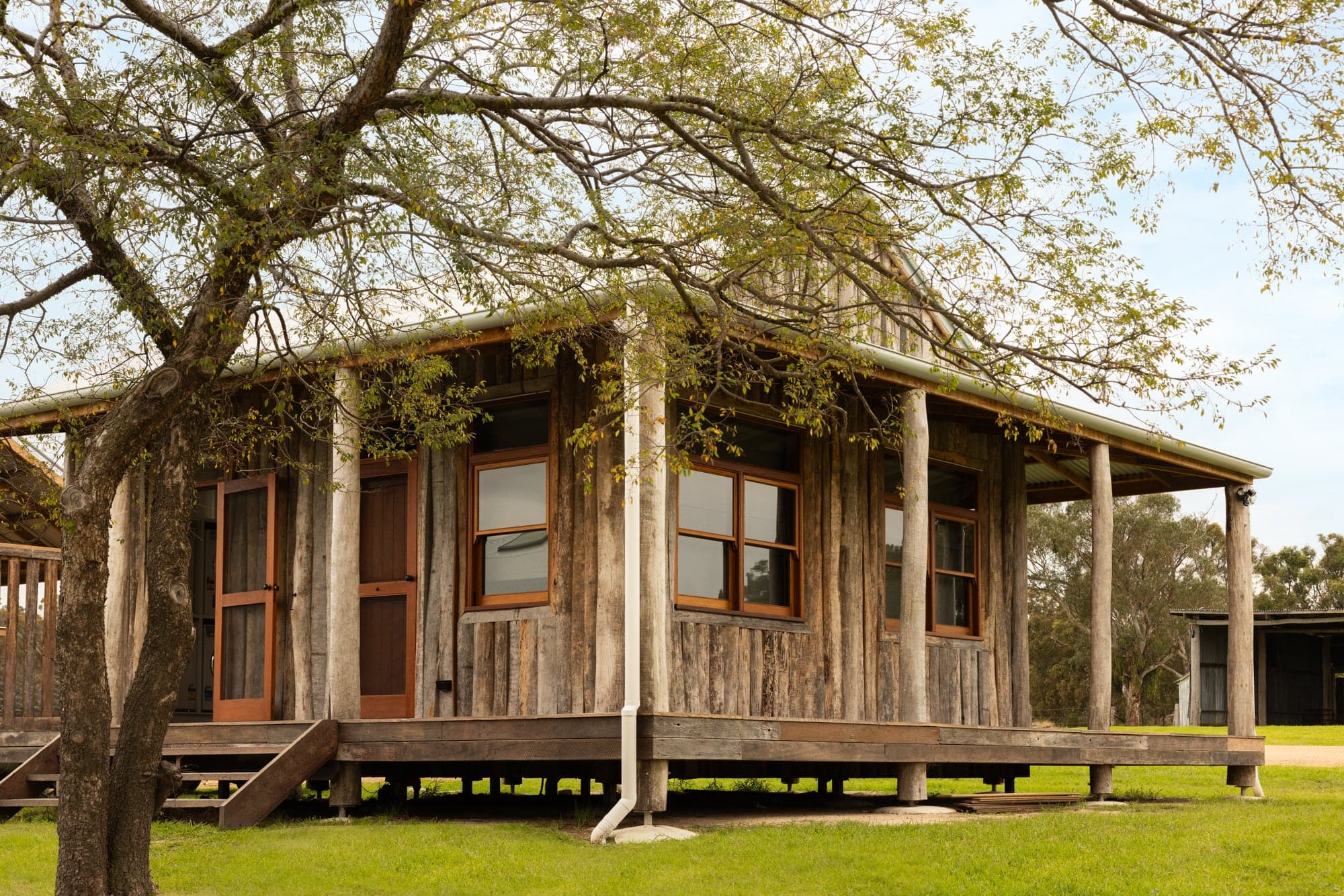 Mountain Station original station cottage exterior — rustic weatherboard and timber pole verandah beneath a spreading tree